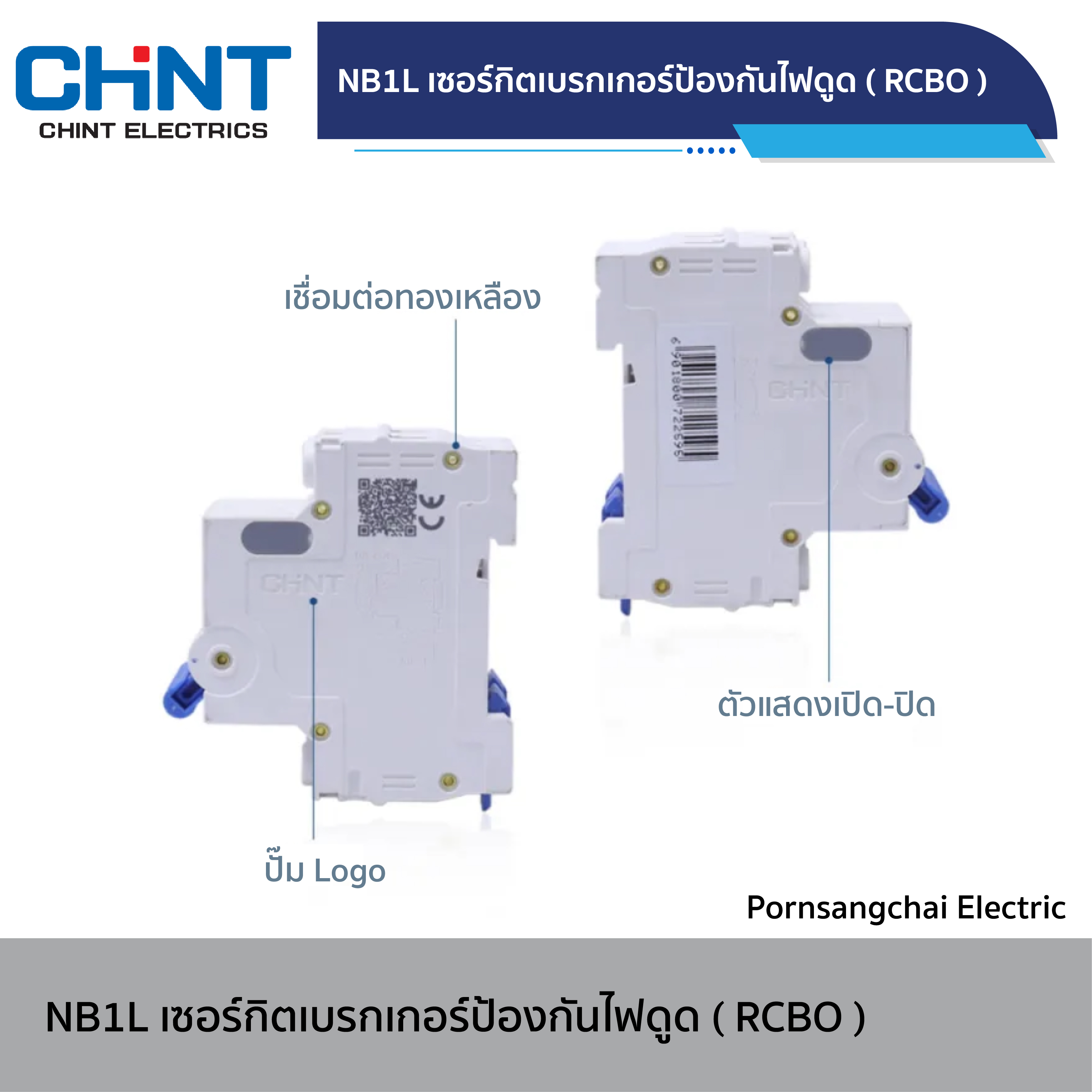 CHINT Circuit Breaker NB1L