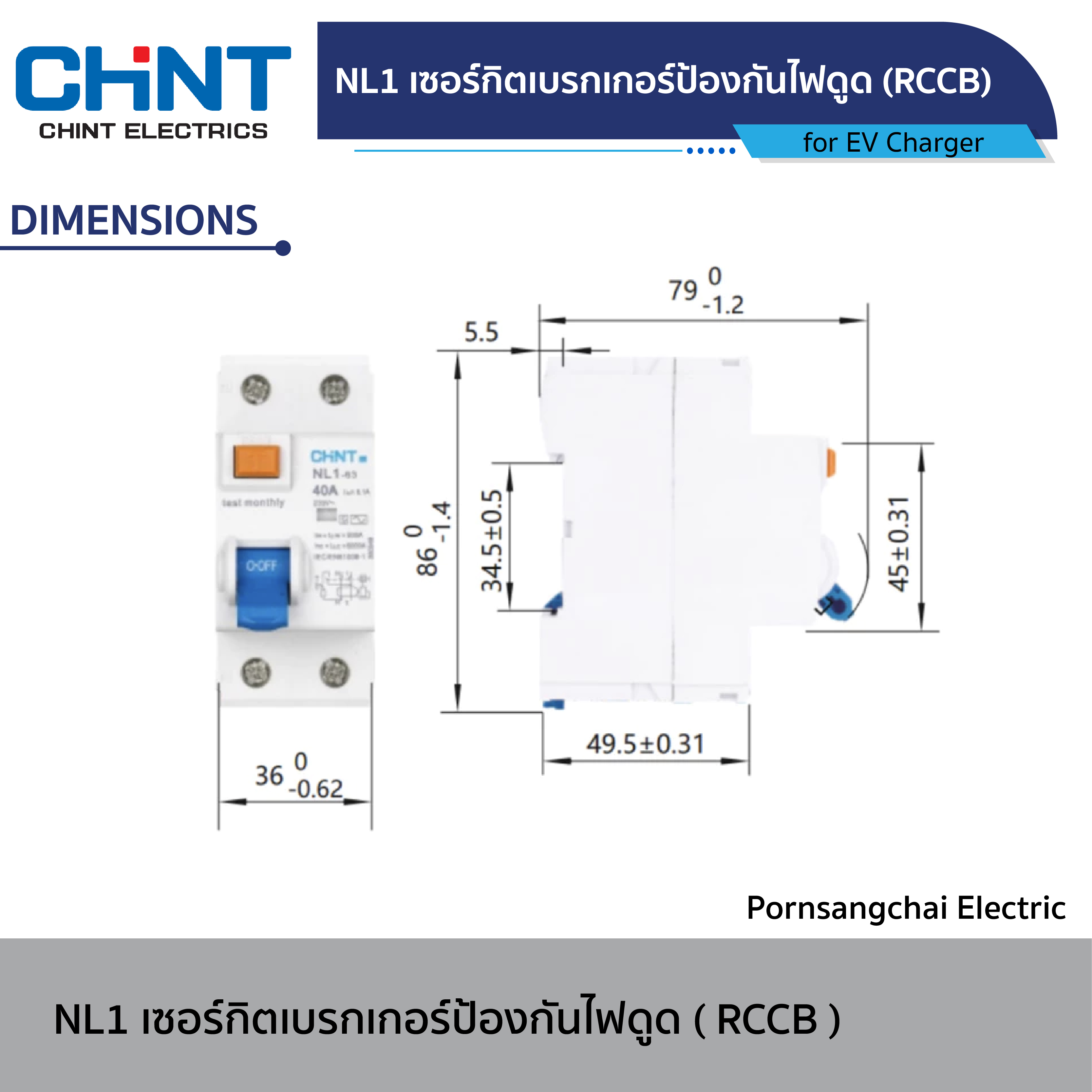 CHINT Circuit Breaker NL1