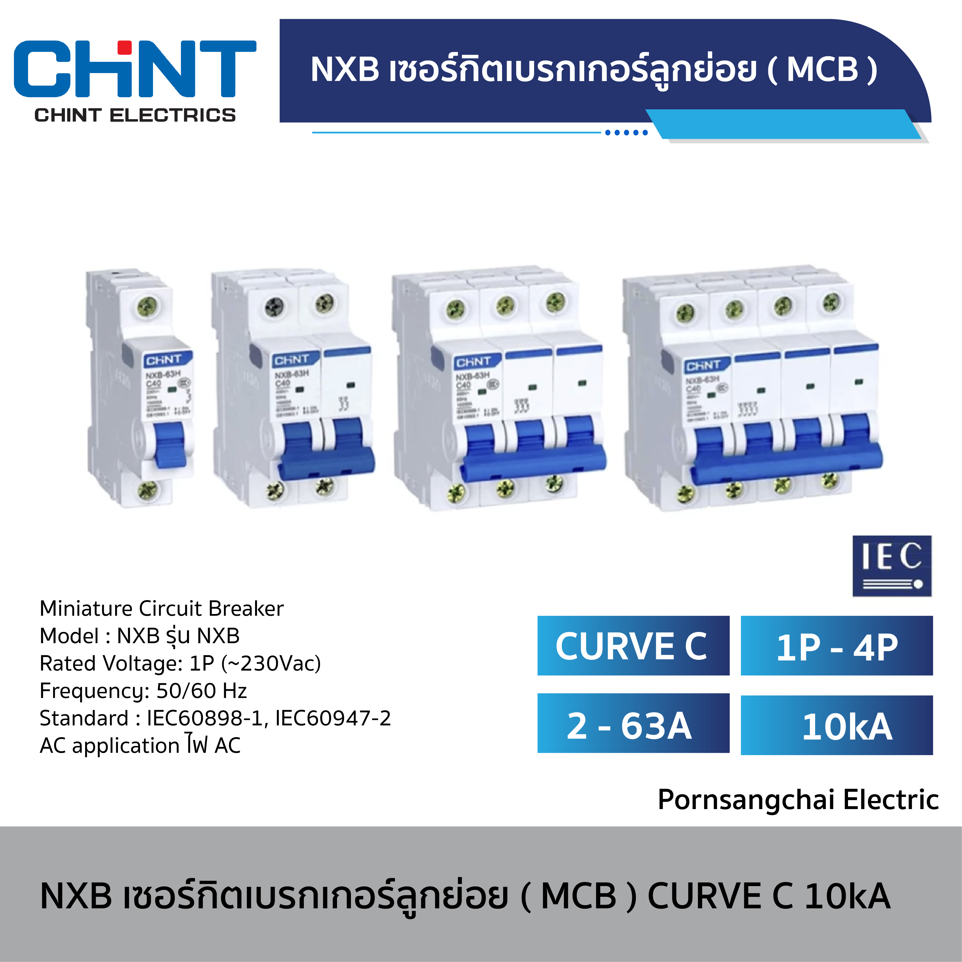 CHINT Circuit Breaker NXB