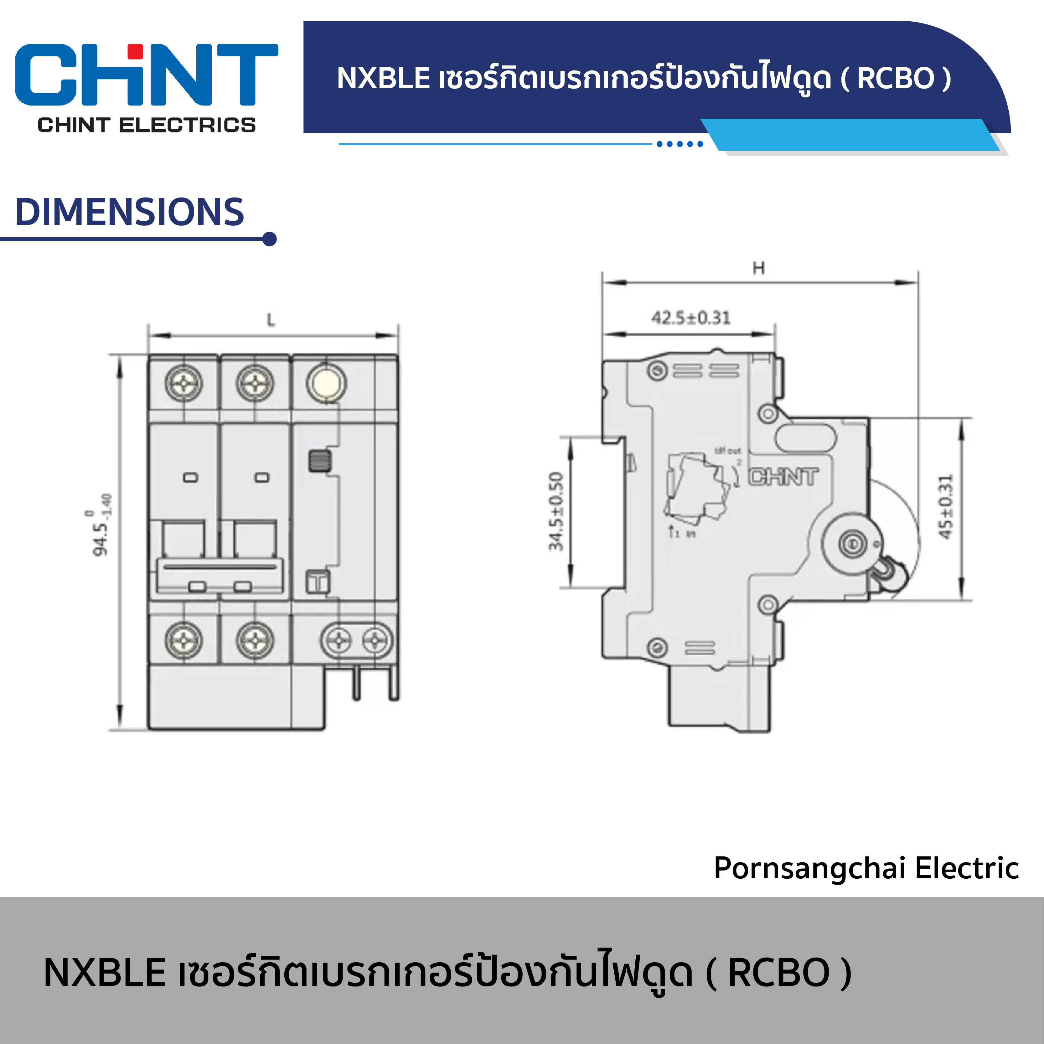 CHINT Circuit Breaker NXBLE