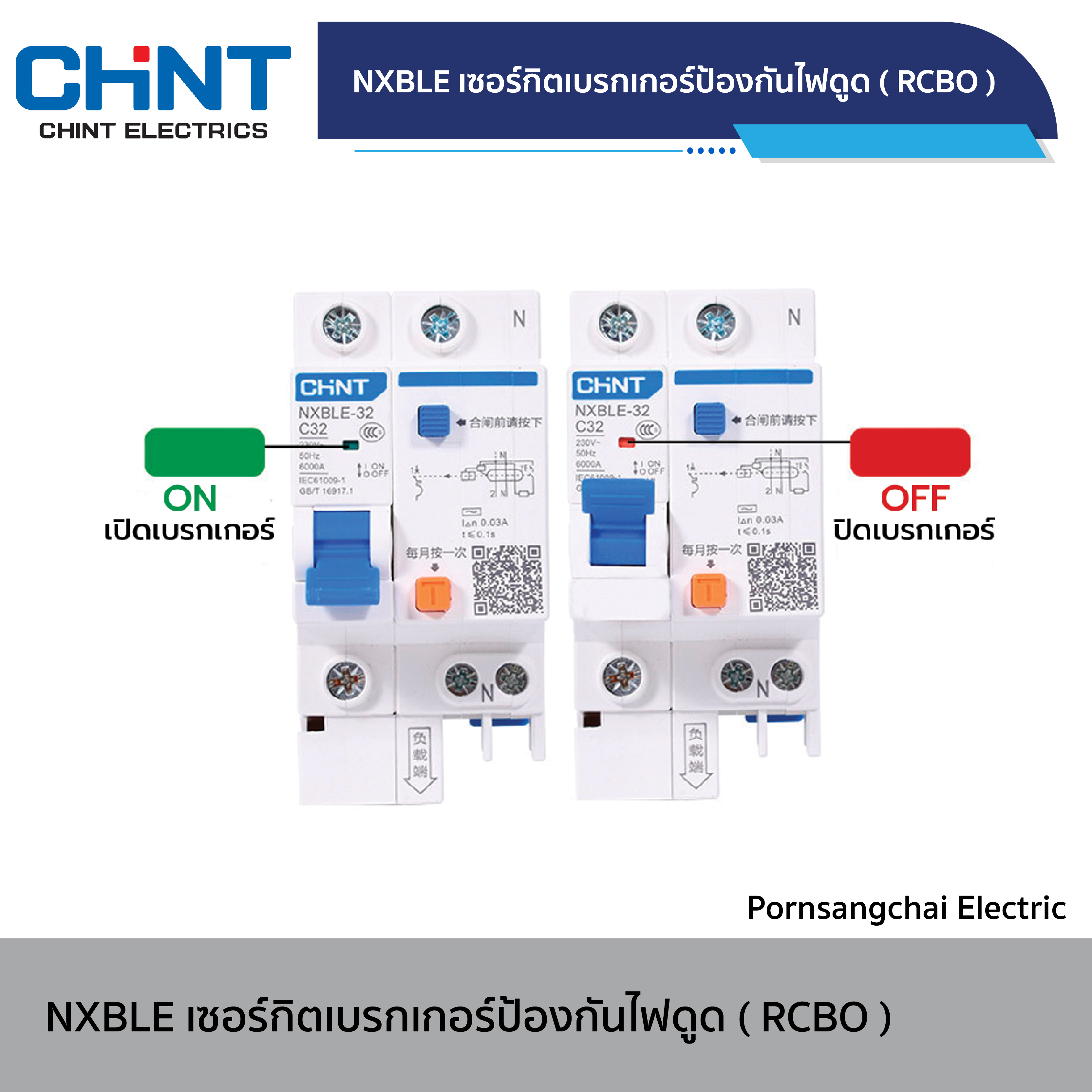 CHINT Circuit Breaker NXBLE