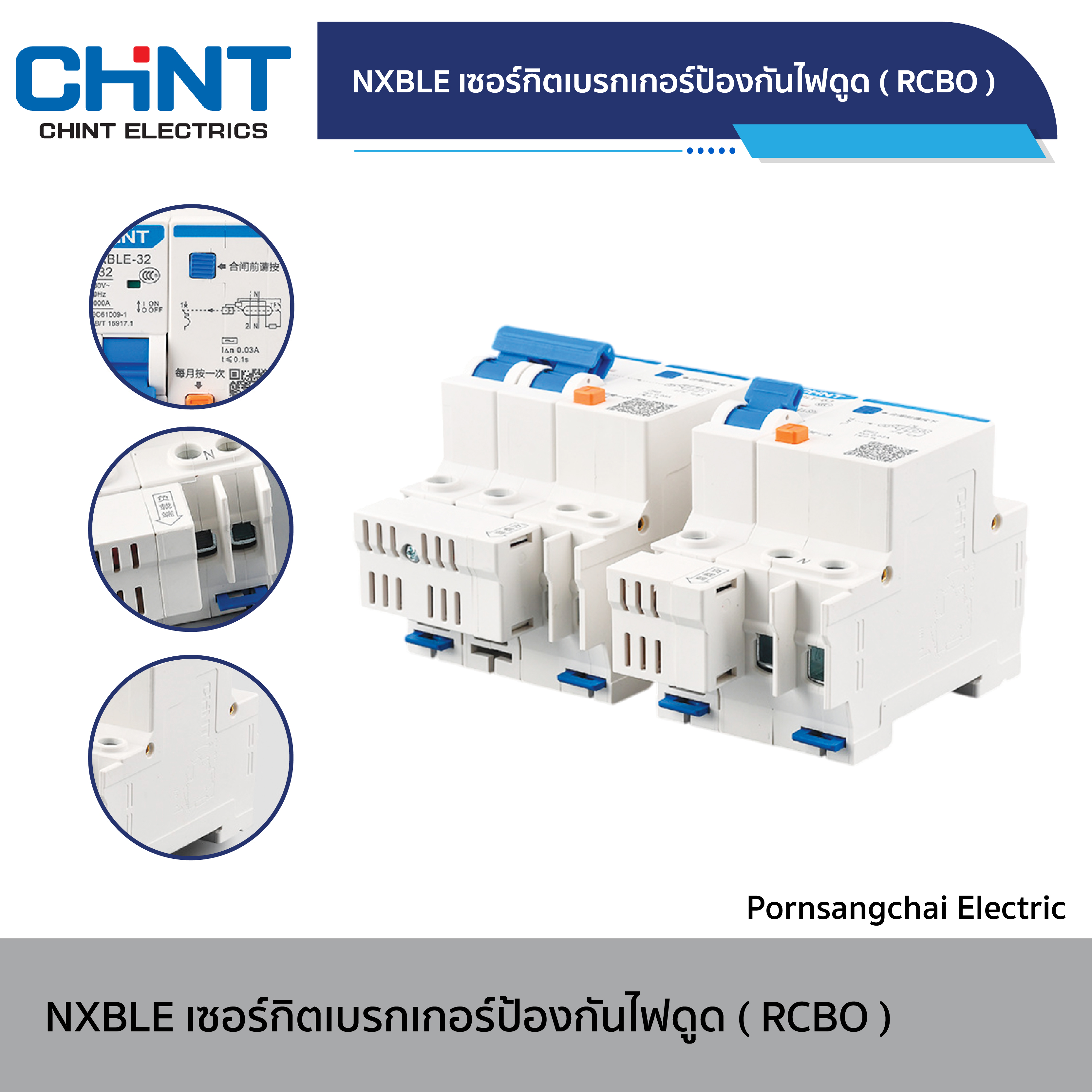 CHINT Circuit Breaker NXBLE