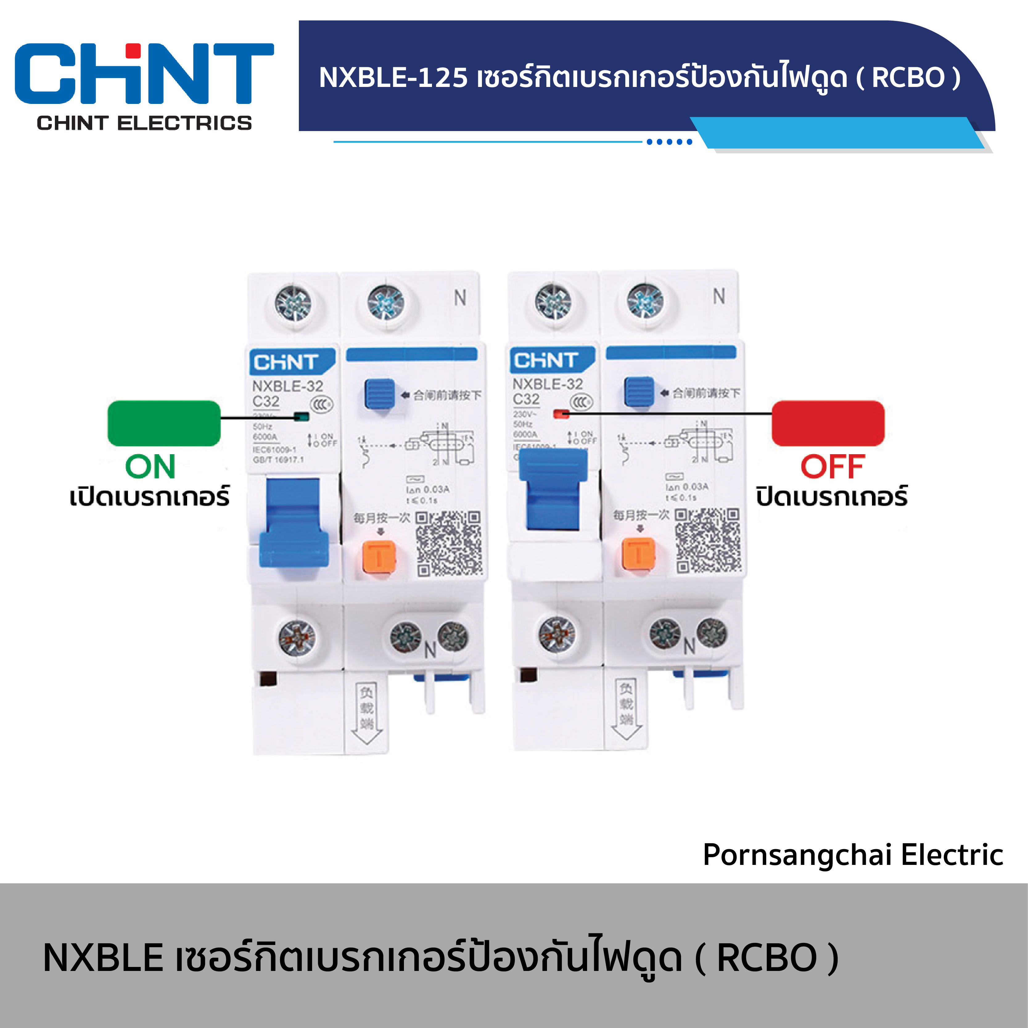 CHINT Circuit Breaker NXBLE-125