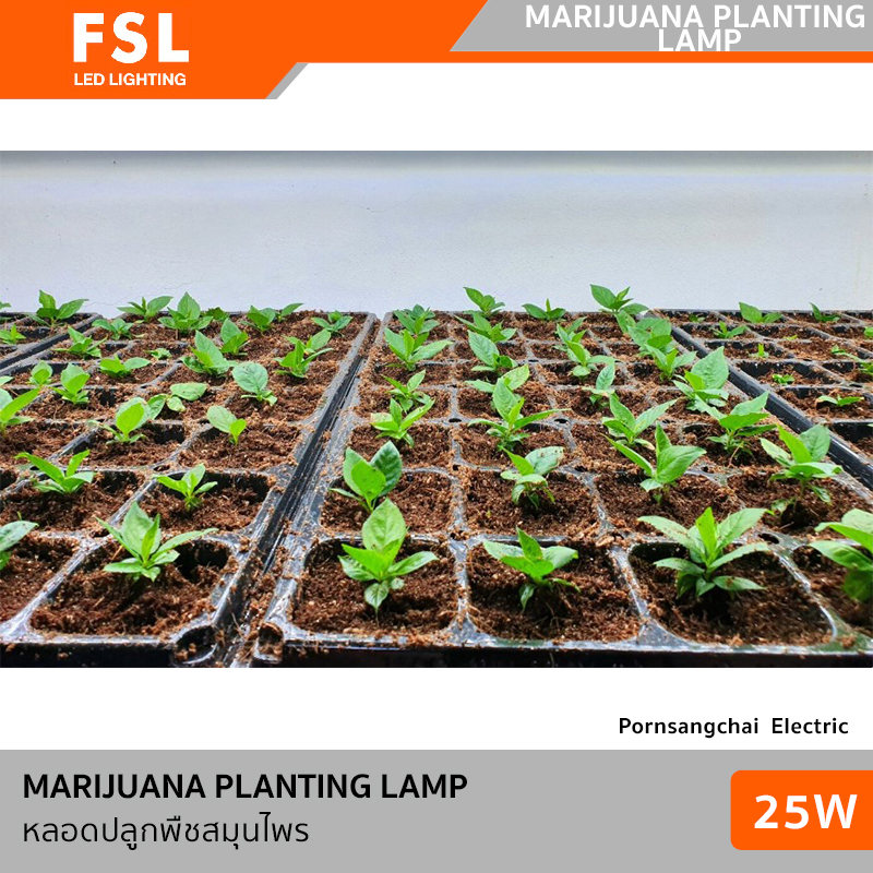 FSL LED MARIJUANA PLANTING LAMP