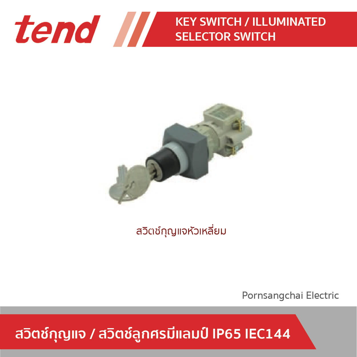 tend สวิตช์กุญแจและสวิตช์ลูกศรมีแลมป์ IP65 IEC144